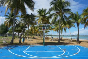 white and blue basketball hoop near palm trees during daytime jigsaw puzzle