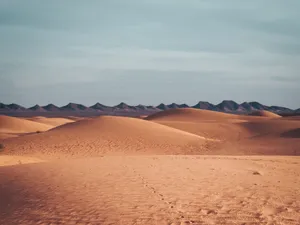 Captivating view of sand dunes under a vast sky in Algeria's Sahara Desert. jigsaw puzzle