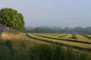 Serene rural landscape of a Dutch farmland on a foggy morning with trees and fields. jigsaw puzzle