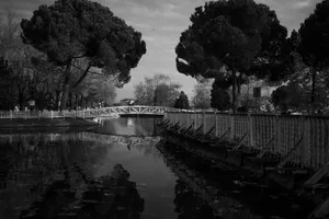 A serene black and white view of a wooden bridge over a river in Sakarya Park, Türkiye. jigsaw puzzle