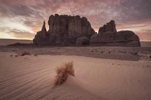 sand jigsaw puzzle