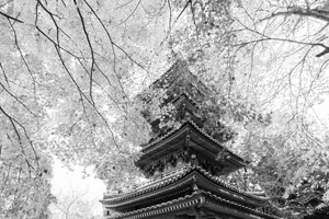 temple jigsaw puzzle