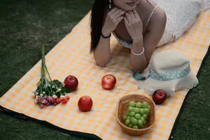 picnic jigsaw puzzle