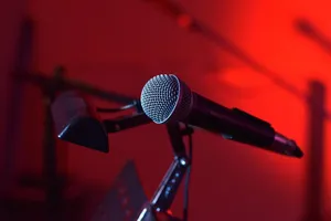 microphone jigsaw puzzle