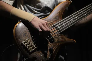 bass guitar jigsaw puzzle