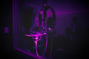 microphone jigsaw puzzle