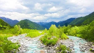 fresh green jigsaw puzzle