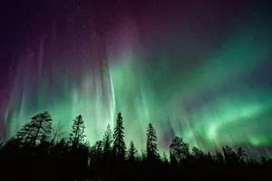 silhouette of trees near Aurora Borealis at night jigsaw puzzle
