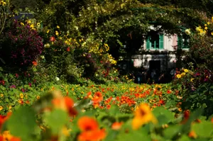 green trees and plants near white house during daytime jigsaw puzzle
