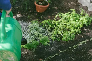a person watering plants in a garden jigsaw puzzle