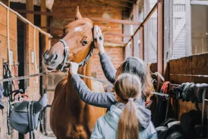 girl in blue jacket holding brown horse jigsaw puzzle