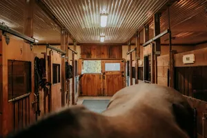 a room with wooden walls jigsaw puzzle
