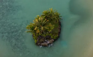 aerial photo of island with palm trees and rocks jigsaw puzzle