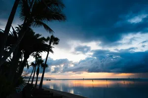 palm trees line the beach as the sun sets jigsaw puzzle