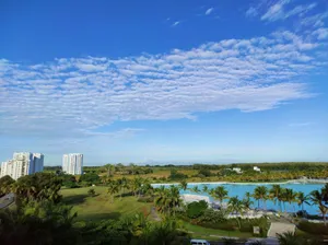 a view of a large body of water surrounded by palm trees jigsaw puzzle