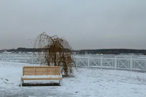 brown wooden bench on snow covered ground during daytime jigsaw puzzle