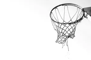 grey basketball hoop jigsaw puzzle