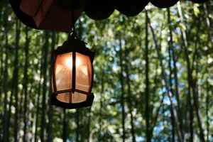 Hanging lantern in front of a lush green forest jigsaw puzzle