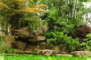 Serene garden scene featuring diverse greenery and natural rock formations. jigsaw puzzle
