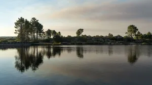 Tranquil lake view with reflections of trees during sunset in Vila Pouca de Aguiar, Portugal. jigsaw puzzle