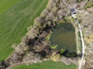 Drone view of a tranquil pond surrounded by lush greenery and trees in Oberndorf, BW, Germany. jigsaw puzzle