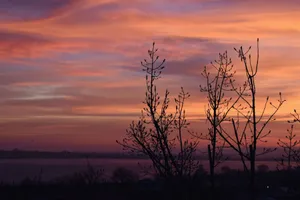Silhouetted trees against a dramatic orange sunset sky over the countryside. jigsaw puzzle