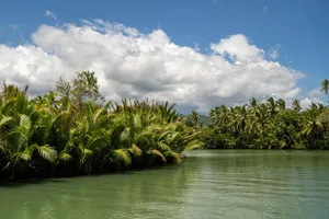 Vibrant tropical lagoon surrounded by lush palm trees under a bright blue sky. jigsaw puzzle