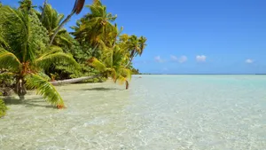 Idyllic tropical scene with coconut trees and clear waters on a sunny summer day. jigsaw puzzle