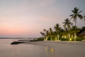 A serene tropical beach at twilight with illuminated palm trees and calm sea, perfect for relaxation. jigsaw puzzle