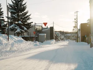 A serene winter street view with snow-covered surroundings in Hokkaido, Japan. jigsaw puzzle