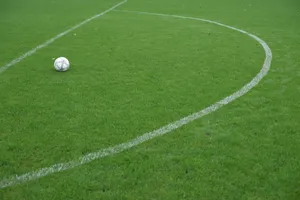 Soccer ball resting on a vibrant green field with white boundary lines. jigsaw puzzle