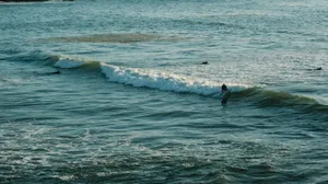 Surfers enjoy a sunny day on ocean waves with clear blue skies and perfect conditions. jigsaw puzzle