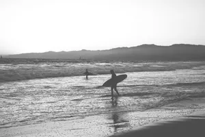 Black and white photo of surfers at the beach, capturing the essence of surfing culture. jigsaw puzzle