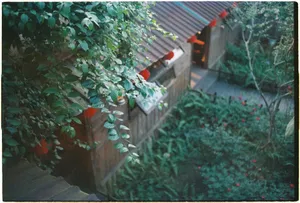 Serene garden view with lush greenery and traditional Asian architecture. jigsaw puzzle