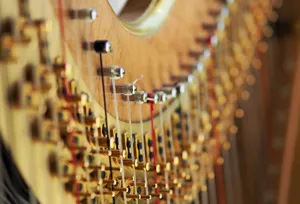 A close-up view of a harp showcasing its intricate strings and tuning pegs in fine detail. jigsaw puzzle