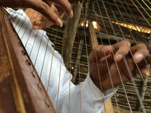 Detailed view of hands plucking a harp's strings inside a rustic setting in Veracruz, Mexico. jigsaw puzzle