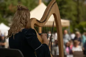 A woman playing a harp at an outdoor event, captured from behind, amidst a blurred crowd. jigsaw puzzle