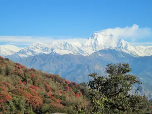 himalaya jigsaw puzzle