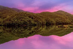 lake jigsaw puzzle