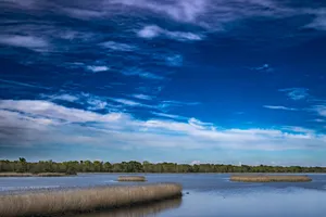 pond jigsaw puzzle