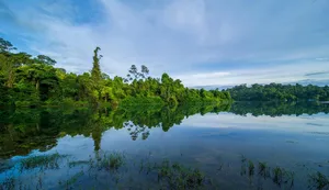 reservoir jigsaw puzzle