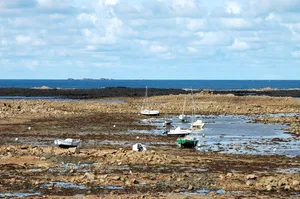 brittany jigsaw puzzle
