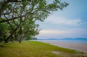 beach jigsaw puzzle