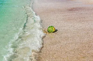 water jigsaw puzzle