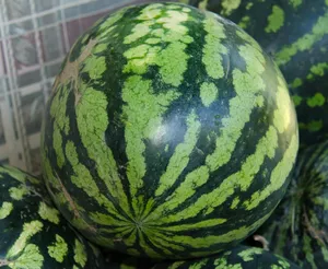 watermelon jigsaw puzzle