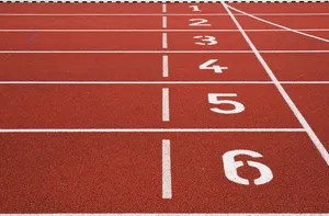 track and field jigsaw puzzle