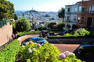 san jigsaw puzzle