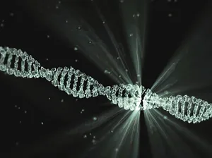 dna jigsaw puzzle