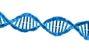 dna jigsaw puzzle