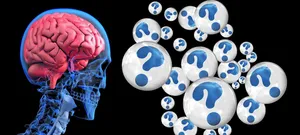 brain jigsaw puzzle